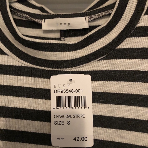 LUSH Nordstrom Gray & Cream Striped Dress - Picture 2 of 3